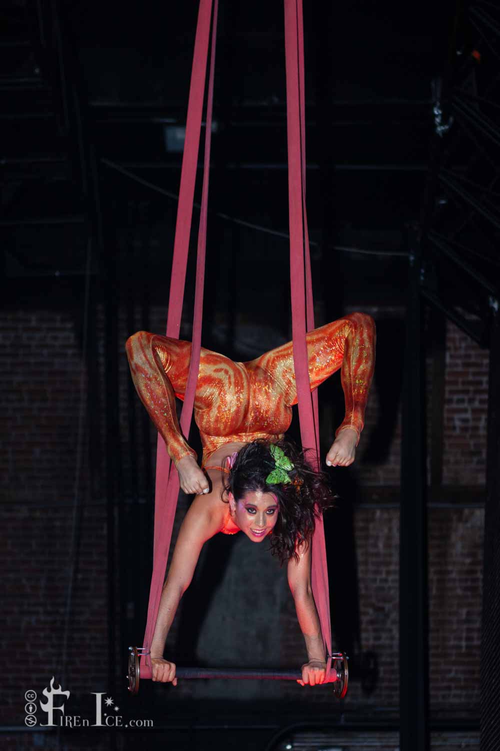 Aerial Trapeze